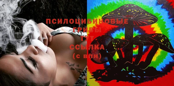 дурь Алексеевка
