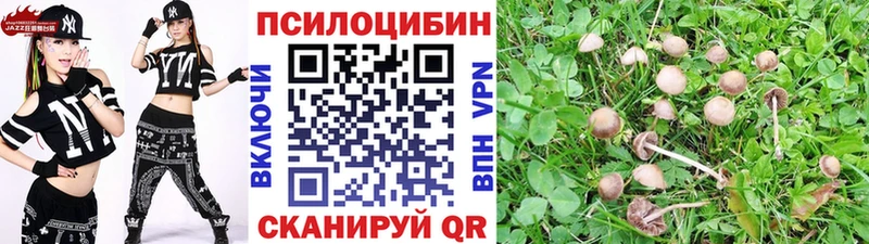 Галлюциногенные грибы мухоморы  Михайловск 